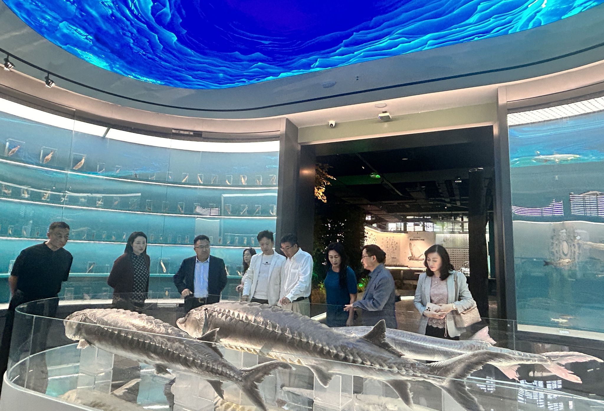 美国专家学者及侨领一行参观学校校史文博场馆