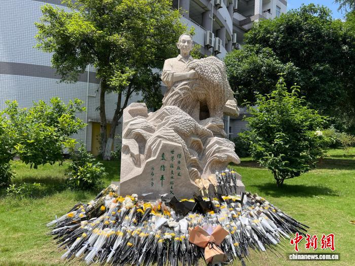 【中国新闻网】袁隆平逝世五周年：母校纪念馆成育人阵地，师生接力传承科研精神
